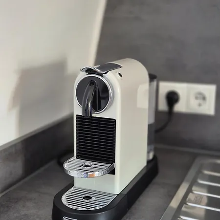 Apartament Sanierte Altbauwohnung Mit Arbeitszimmer & Parkplatz Am Rhein *